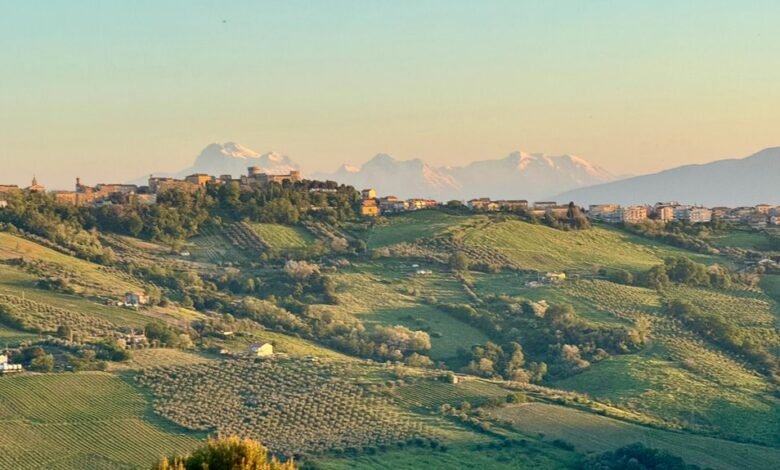 toll free adoption information hotline