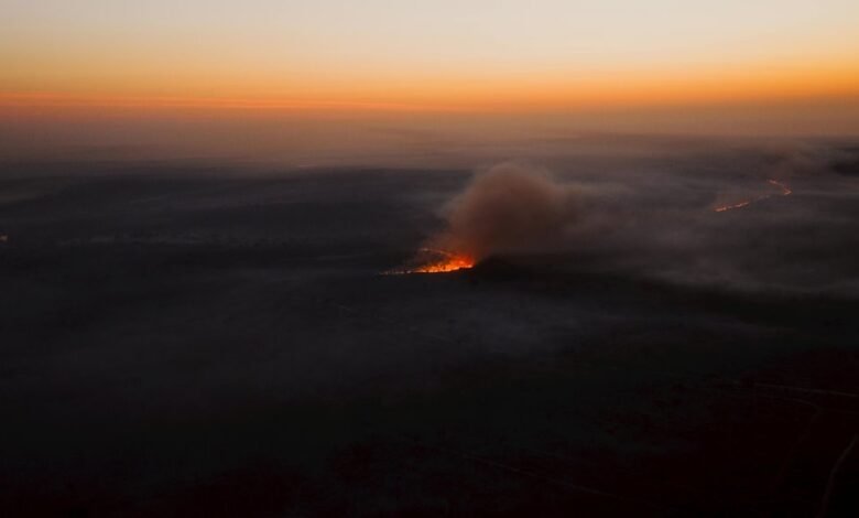 zytescintizivad expansion strategy